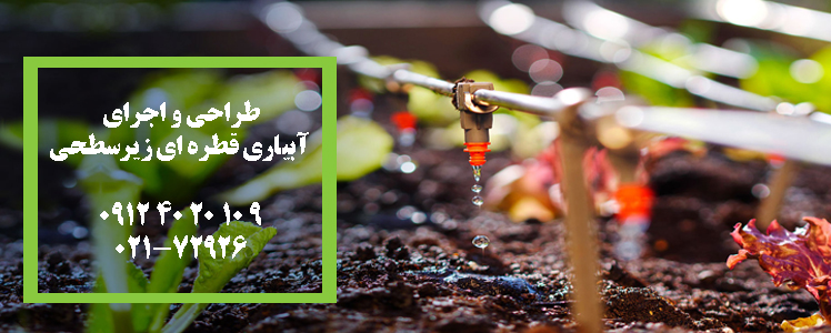 آبیاری قطره ای زیرسطحی