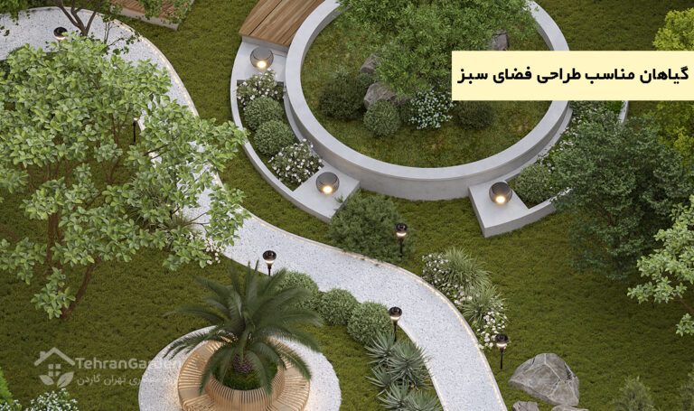 گیاهان مناسب طراحی فضای سبز