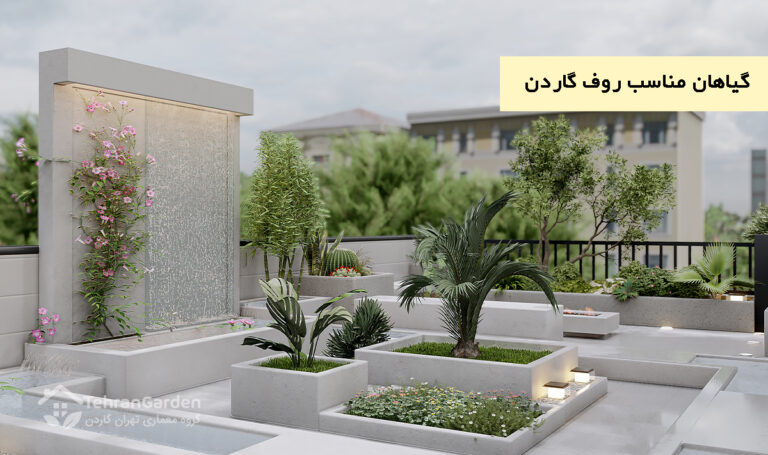 گیاهان مناسب روف گاردن